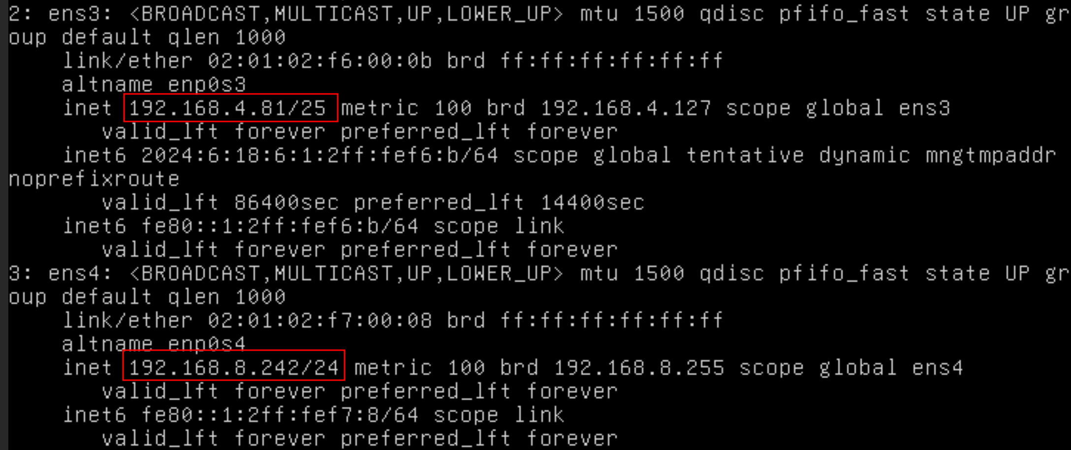 IPs of test vm